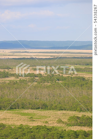 釧路沼澤 54338267