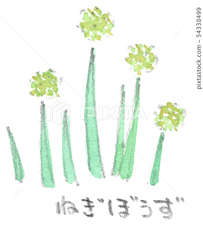 鬼之花“ Negibouzu” 54338499