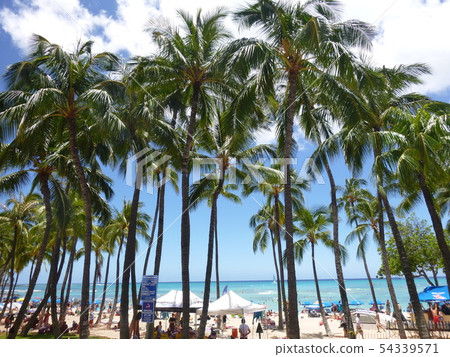 夏威夷的看法 夏威夷的看法 54339571