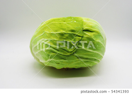 捲心菜（含水滴） 54341393