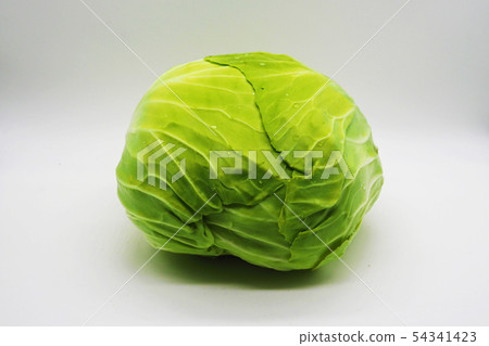 捲心菜（含水滴） 54341423