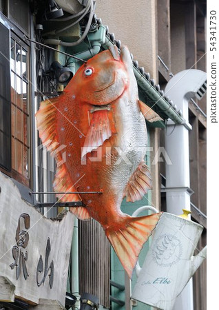 城崎溫泉，城市景觀 54341730