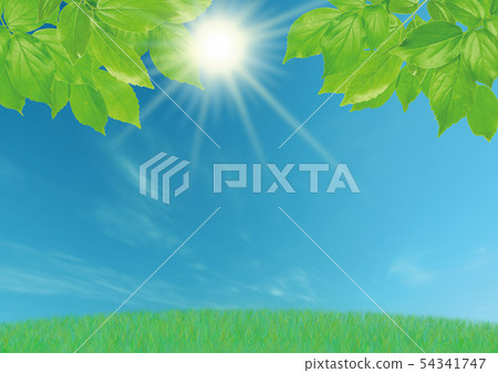 Fresh green meadow sunlight Fresh green meadow sunlight 54341747