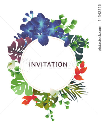 Hand drawn Tropical plant, blue Vanda Coerulea 54342226