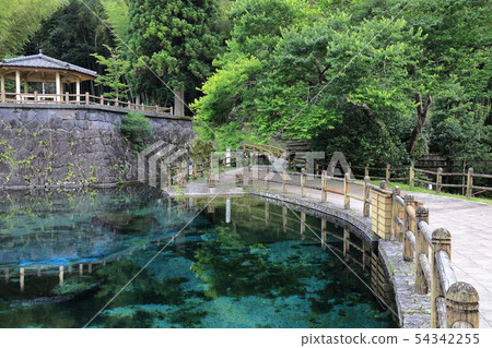 Maruike Shimizu（100種日本著名水域） 54342255