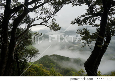 [Shikoku 88 Temples] Pilgrimage Road A sea of clouds over the Naka River seen from Kakurinji Road Katsuura-cho, Katsuura-gun, Tokushima Prefecture 54342488
