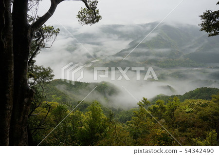 [Shikoku 88 Temples] Pilgrimage Road A sea of clouds seen from the pilgrimage route to Kakurinji Temple Katsuura-cho, Katsuura-gun, Tokushima Prefecture 54342490