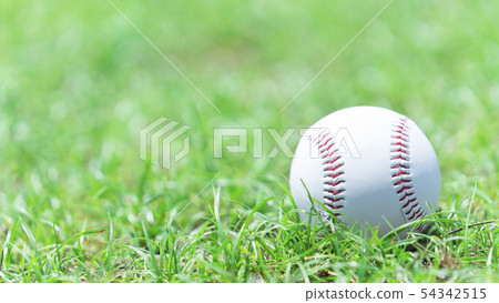 Baseball image ball 54342515