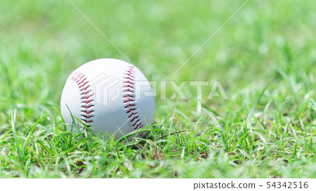 Baseball image ball 54342516