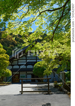 Wakaba and fresh green Nanzen-ji Temple Hojo Garden Wakaba and fresh green Nanzen-ji Temple Hojo Garden 54342997