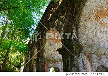 Young leaves and fresh green waterways Young leaves and fresh green waterways 54342998