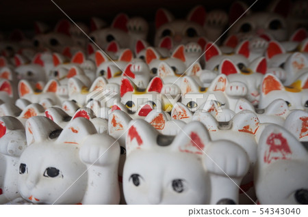 Omatsu Daigongen Manekineko dedicated to appreciation Anan City, Tokushima Prefecture Omatsu Daigongen Manekineko dedicated to appreciation Anan City, Tokushima Prefecture 54343040