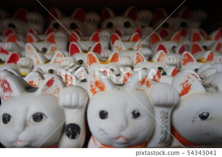 Maneki Neko paid by Omatsu Daigongen, Anan City, Tokushima Prefecture Maneki Neko paid by Omatsu Daigongen, Anan City, Tokushima Prefecture 54343041