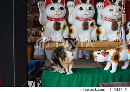 德島縣阿南市大松大權現偶像和招財貓 54343045