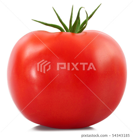 tomato on white background 54343185