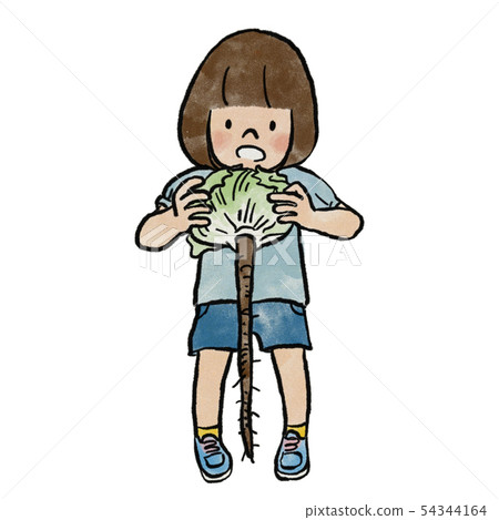 Lettuce and burdock are friends 54344164