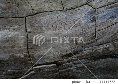 The texture of the charred planks of the walls of the house 54344772