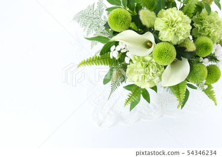 檸檬綠安排 54346234