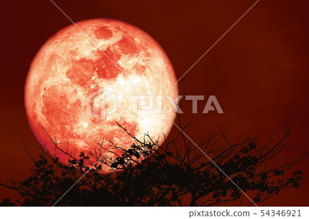 red sturgeon moon on the night red sky back 54346921