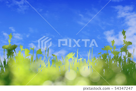 Green silhouette of grass and wild flowers border 54347247