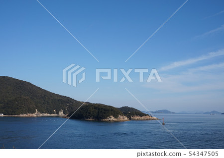 Senzhenjima 54347505