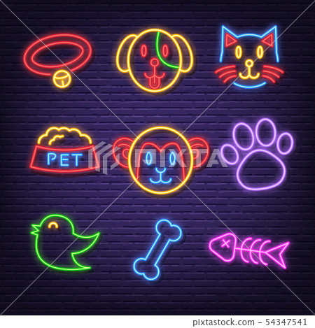 pet neon icons pet neon icons 54347541
