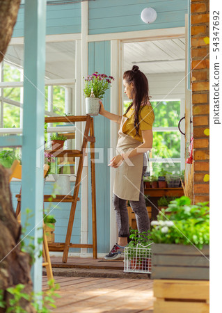 Florist putting flower pot on top of a shelve stand. 54347692