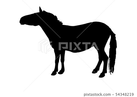 Black Silhouette Horse Vector illustration eps 10 Black Silhouette Horse Vector illustration eps 10 54348219