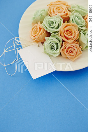 Rose Breedflower Copy Space Rose Breedflower Copy Space 54348663