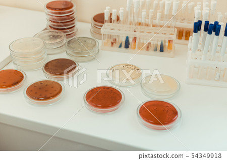 Top view of test samples standing on the table 54349918