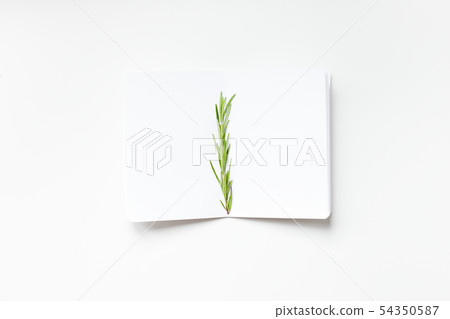 Blank notepad pages with rosemary twig Blank notepad pages with rosemary twig 54350587
