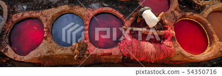 Leather dying in traditional tannery, Fes, Morocco 54350716