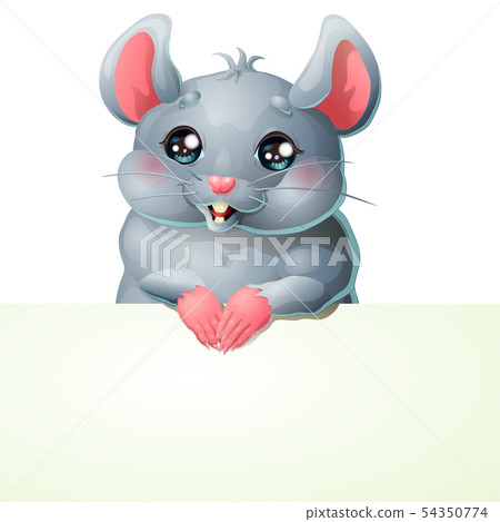 Cute grey mouse and banner on white 54350774