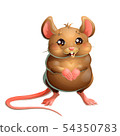 The cute brown mouse on white background 54350783