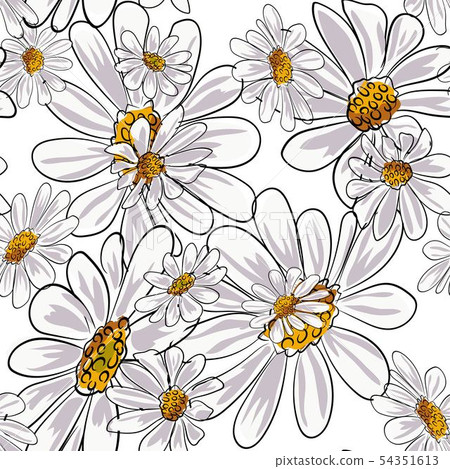 Chamomile flowers seamless pattern. 54351613