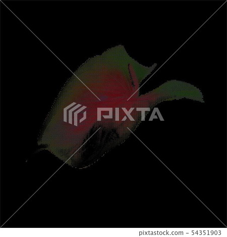 Holiday flowers background. Vector illustration  54351903