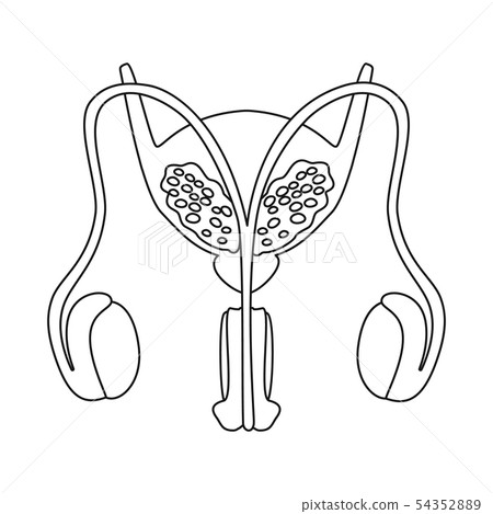 Isolated object of anatomy and organ logo. Collection of anatomy and medical stock vector Isolated object of anatomy and organ logo. Collection of anatomy and medical stock vector 54352889