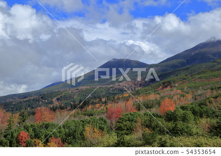 Tokachi-dake Mochidakedai(北海道/別町/ Mochidakedai)的秋葉 Tokachi-dake Mochidakedai(北海道/別町/ Mochidakedai)的秋葉 54353654