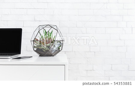 Desk with laptop and house plants at white brick wall background, copy space 54353881