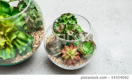 Glass florarium vases with succulent plants on concrete background Glass florarium vases with succulent plants on concrete background 54354092