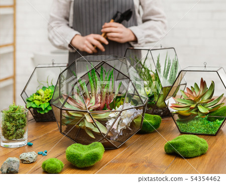 Choose your florarium vase. Professional florist concept Choose your florarium vase. Professional florist concept 54354462