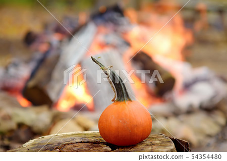 Pumpkin on background of bonfire on halloween 54354480