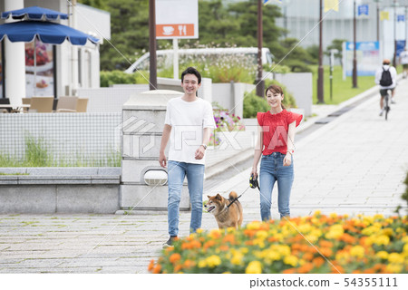 Shiba Inu和一對夫婦在公園散步 54355111