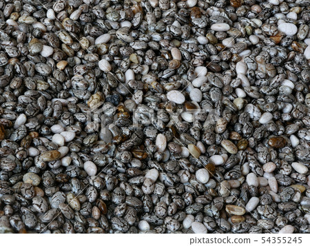 Close-up of Chia Seeds, Salvia hispanica Close-up of Chia Seeds, Salvia hispanica 54355245