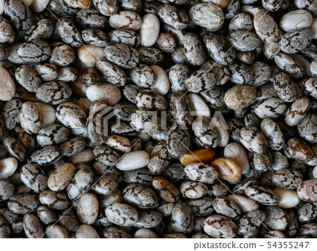 Close-up of Chia Seeds, Salvia hispanica Close-up of Chia Seeds, Salvia hispanica 54355247