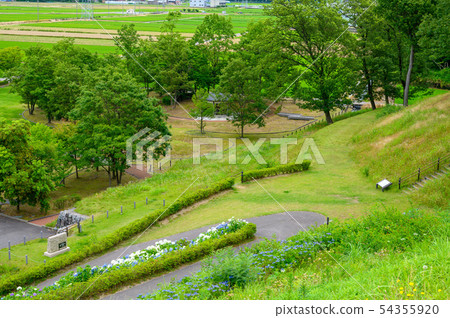 Park / June photography of Aki Tsuneyama Tomb (Nomi tomb group) / Nomi City, Ishikawa Prefecture 54355920
