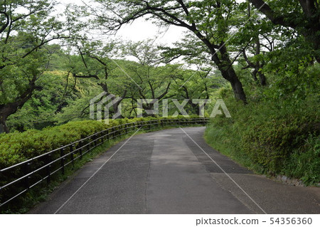 Yokohama City Tsurumi Ward Sanike Park 54356360