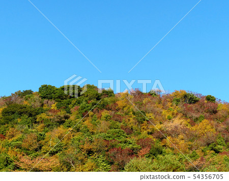 Unzen秋葉 54356705