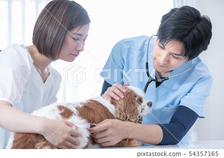 獸醫和老闆 獸醫和老闆 54357165