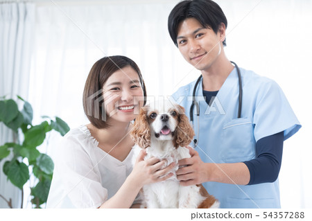 Veterinarian and owner Veterinarian and owner 54357288